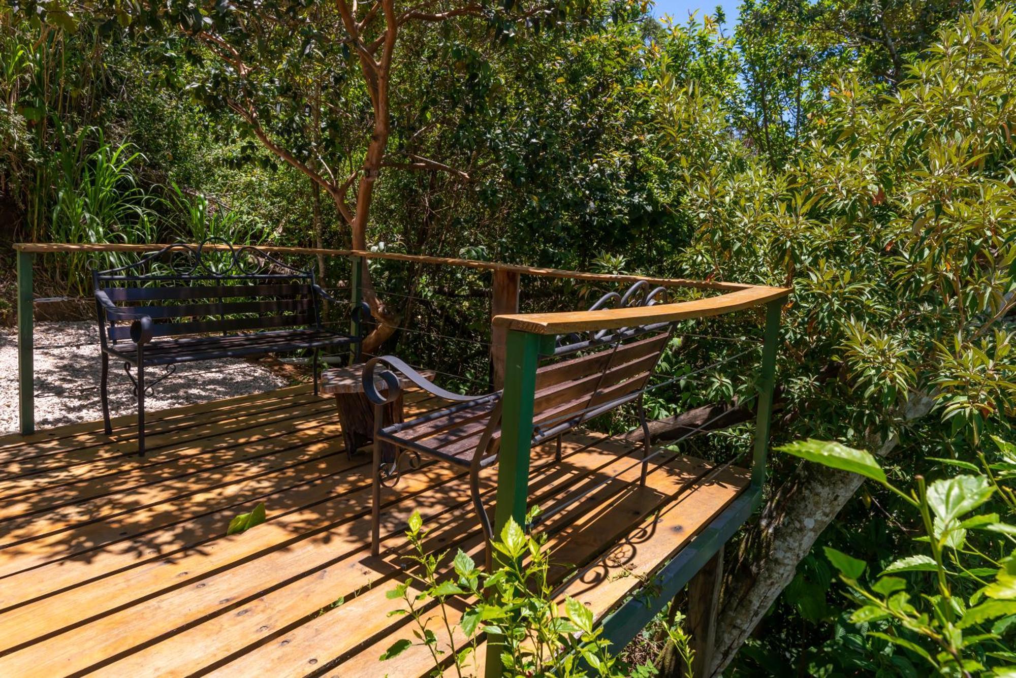 Cabinas Capulin & Farm Monteverde Bagian luar foto